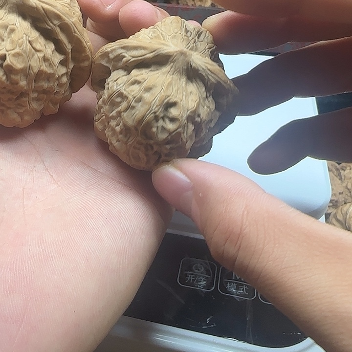 大***宝龙脊菩提吊坠啊啊啊啊啊啊南瓜14