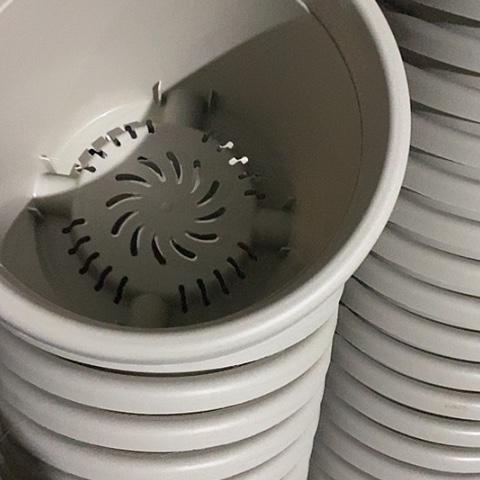 树脂四季3号灰白无托10个