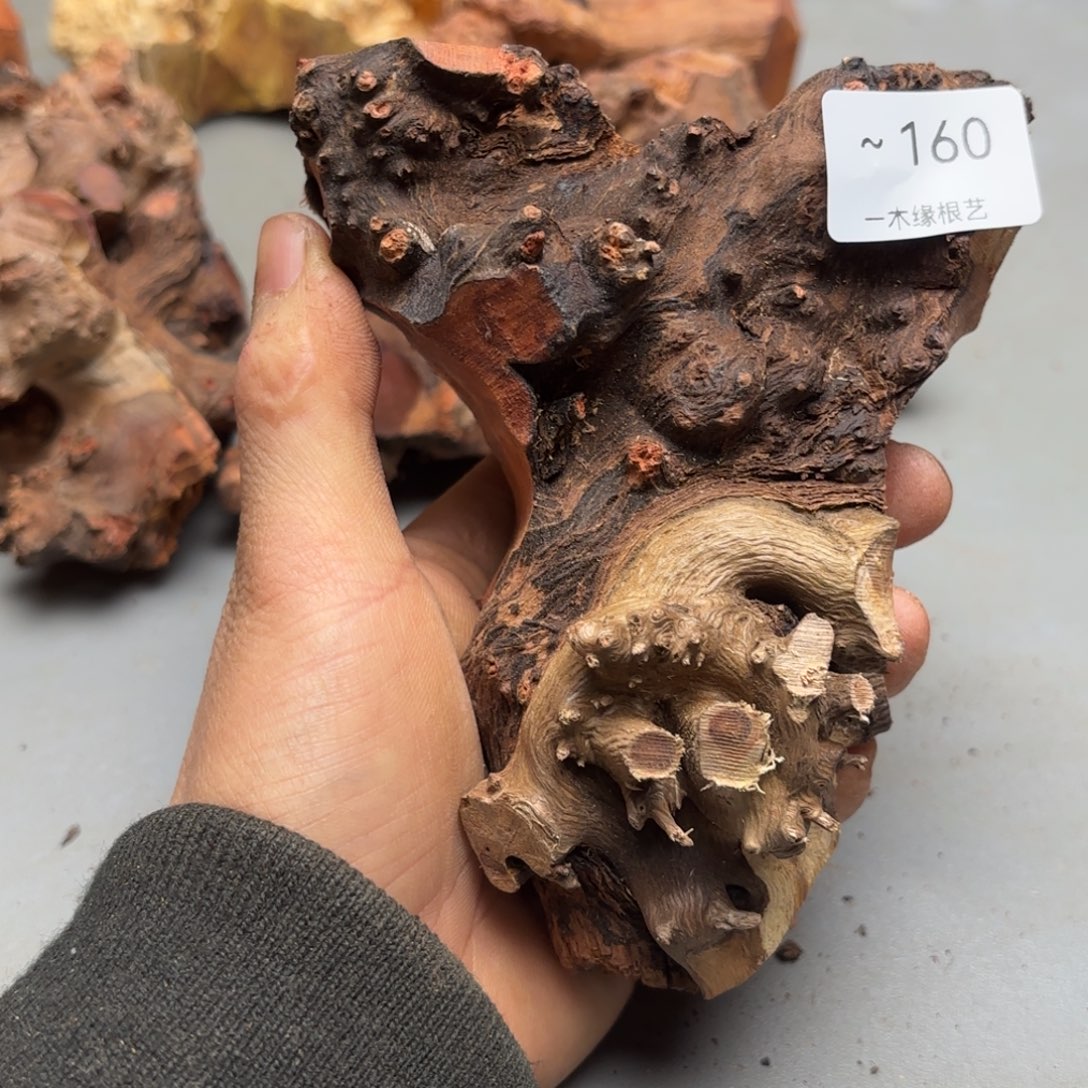 顺***风无花朵          160