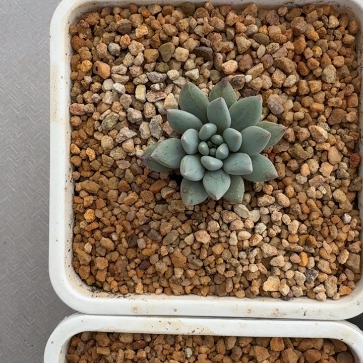 黄***司保温箱 链接 一物一拍