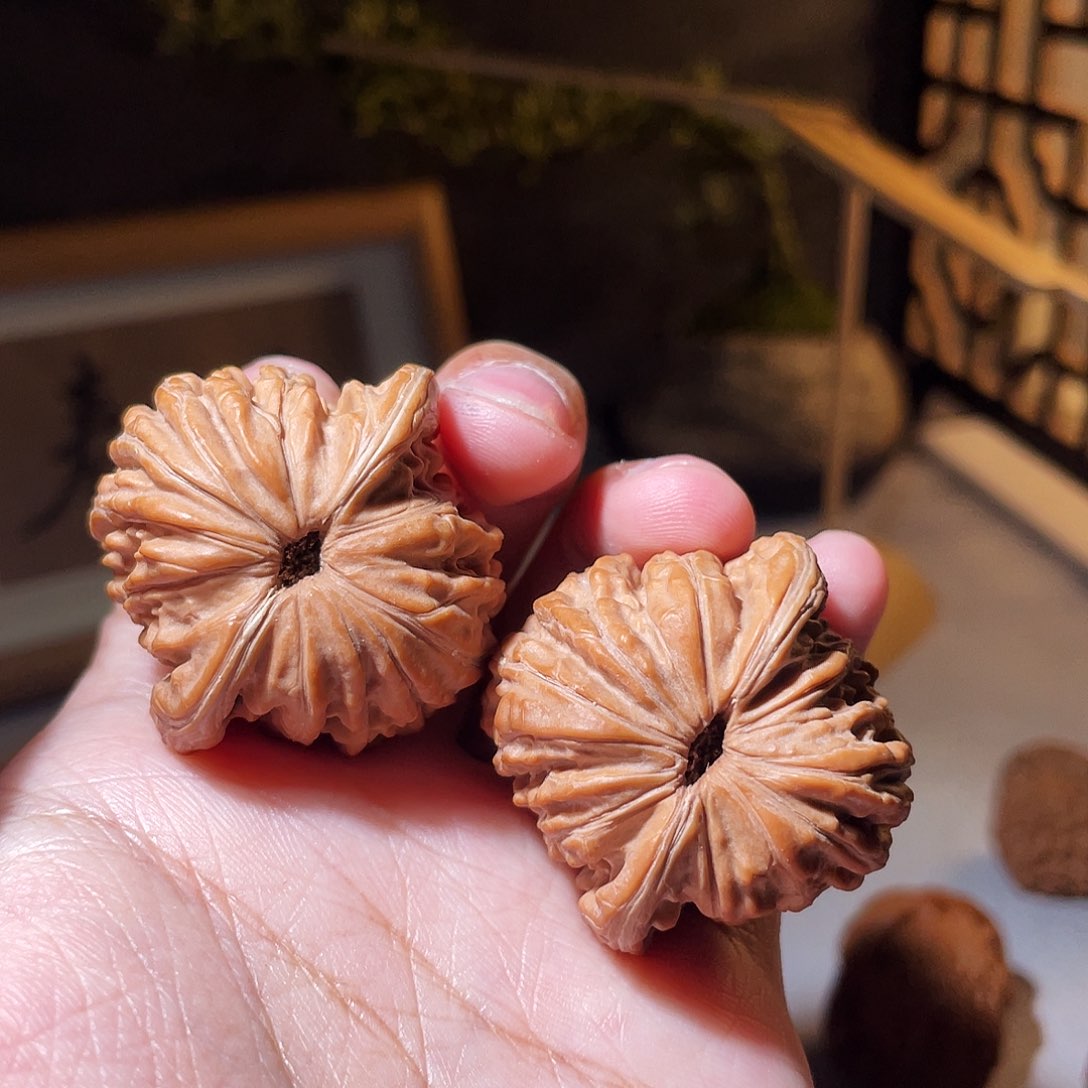 核桃手串/手链39汉高楼全品无修