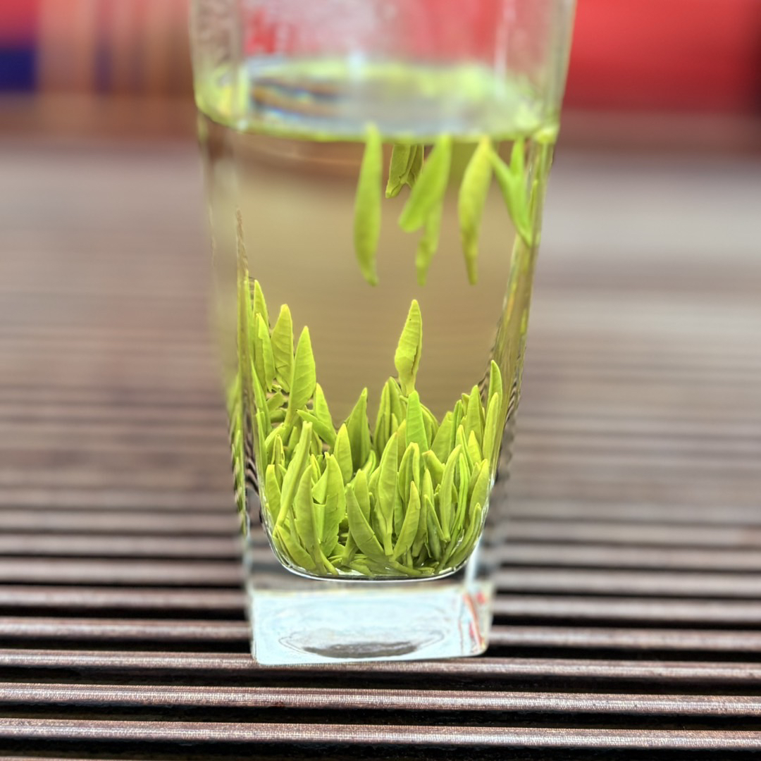 2025小栗香绿茶 新茶上市 100g-500g包邮