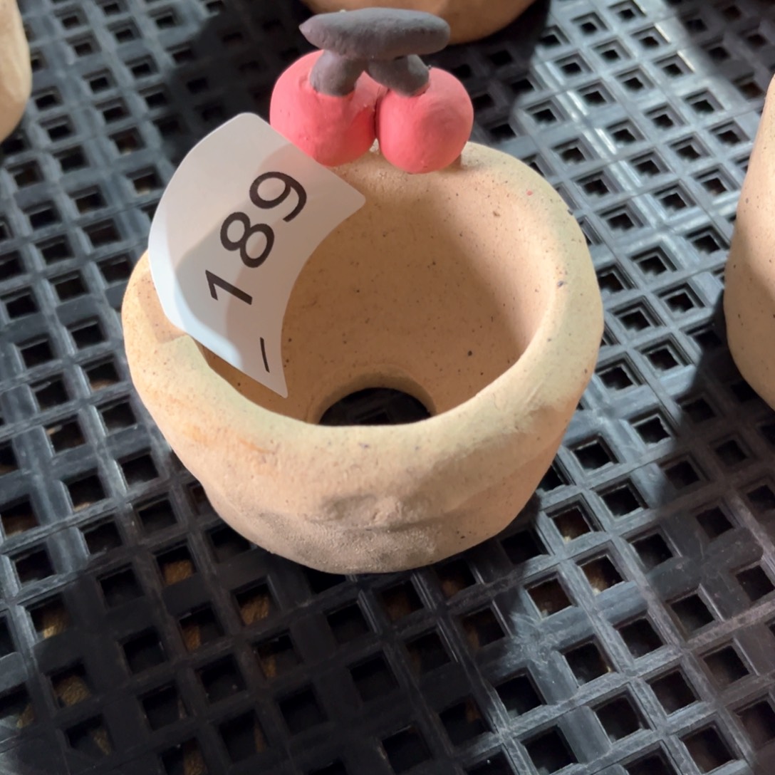 红陶189花盆  1个