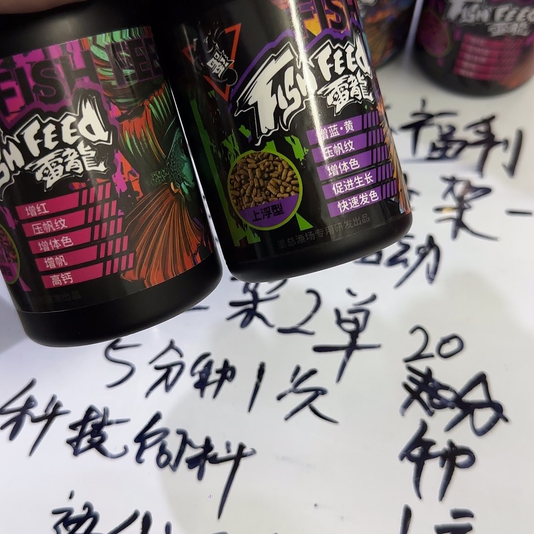 热带鱼公101111111