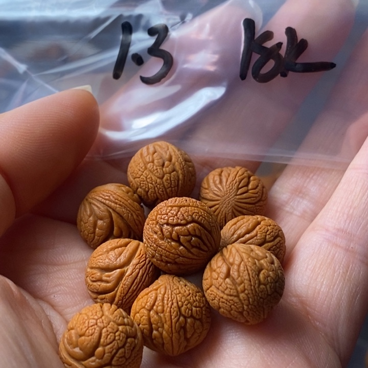 手串文玩核桃秦岭野生龙纹桃核13
