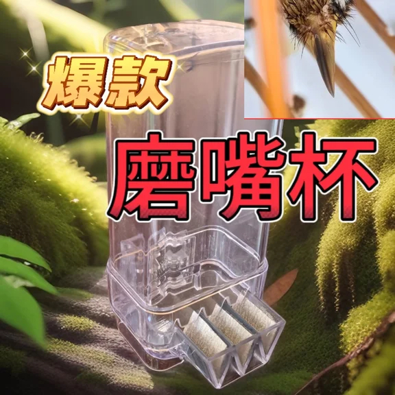 画眉鸟磨嘴杯 磨嘴专用杯