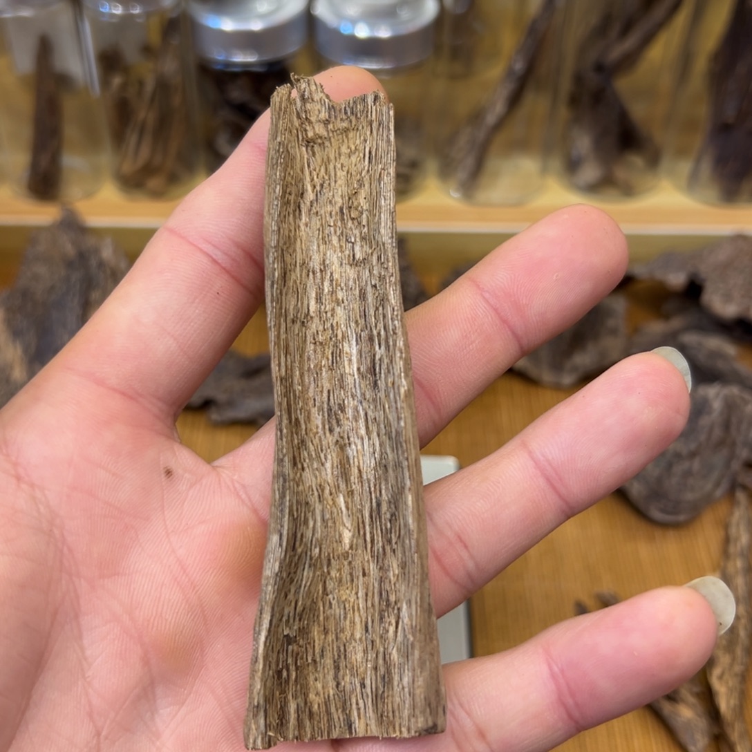 香港天然深屈老根5.36g