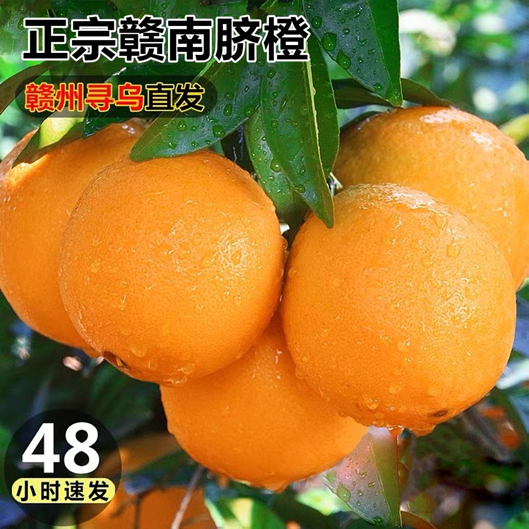 正宗赣南脐橙现摘爆甜多汁孕妇水果现摘产地直供手剥橙子5斤/10斤