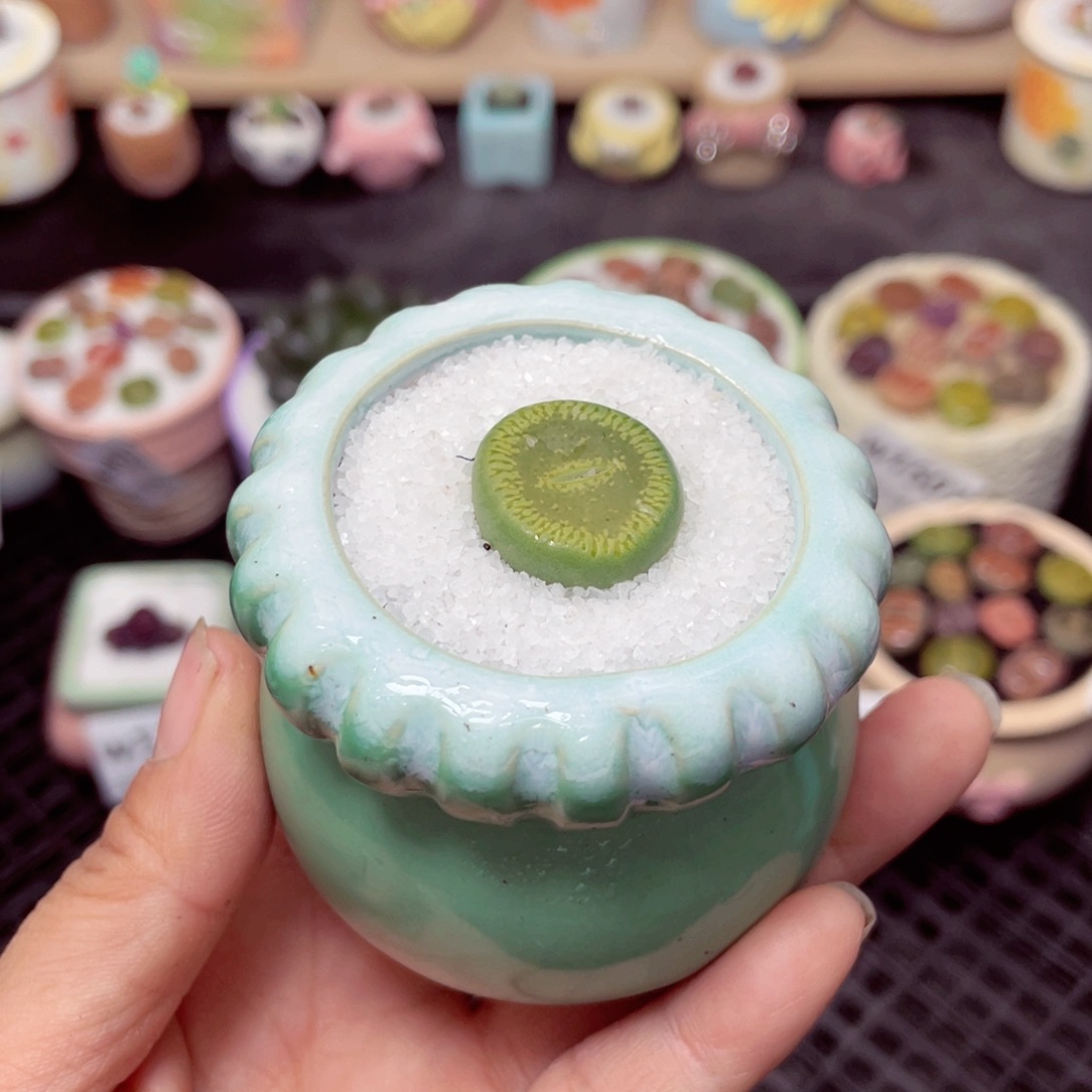 w1515 带盆土发货-零下地区拍保温箱