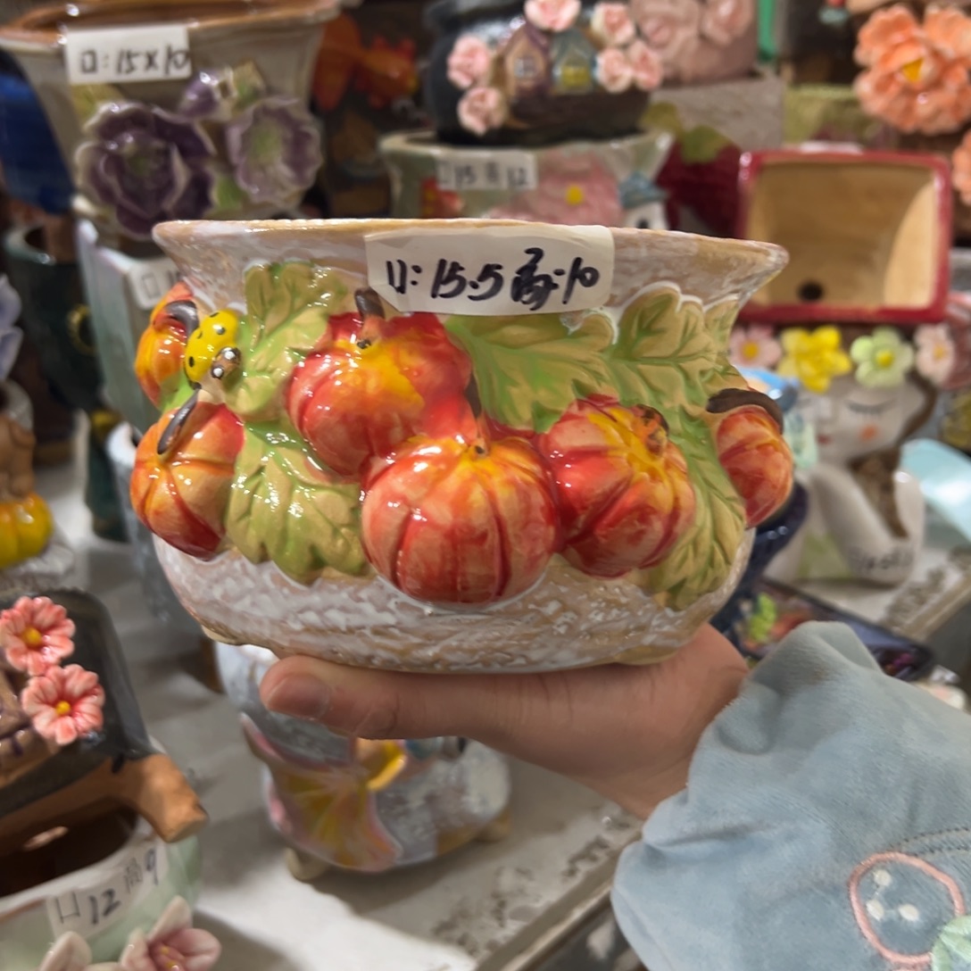 花盆，拍满20发货，退款拉黑