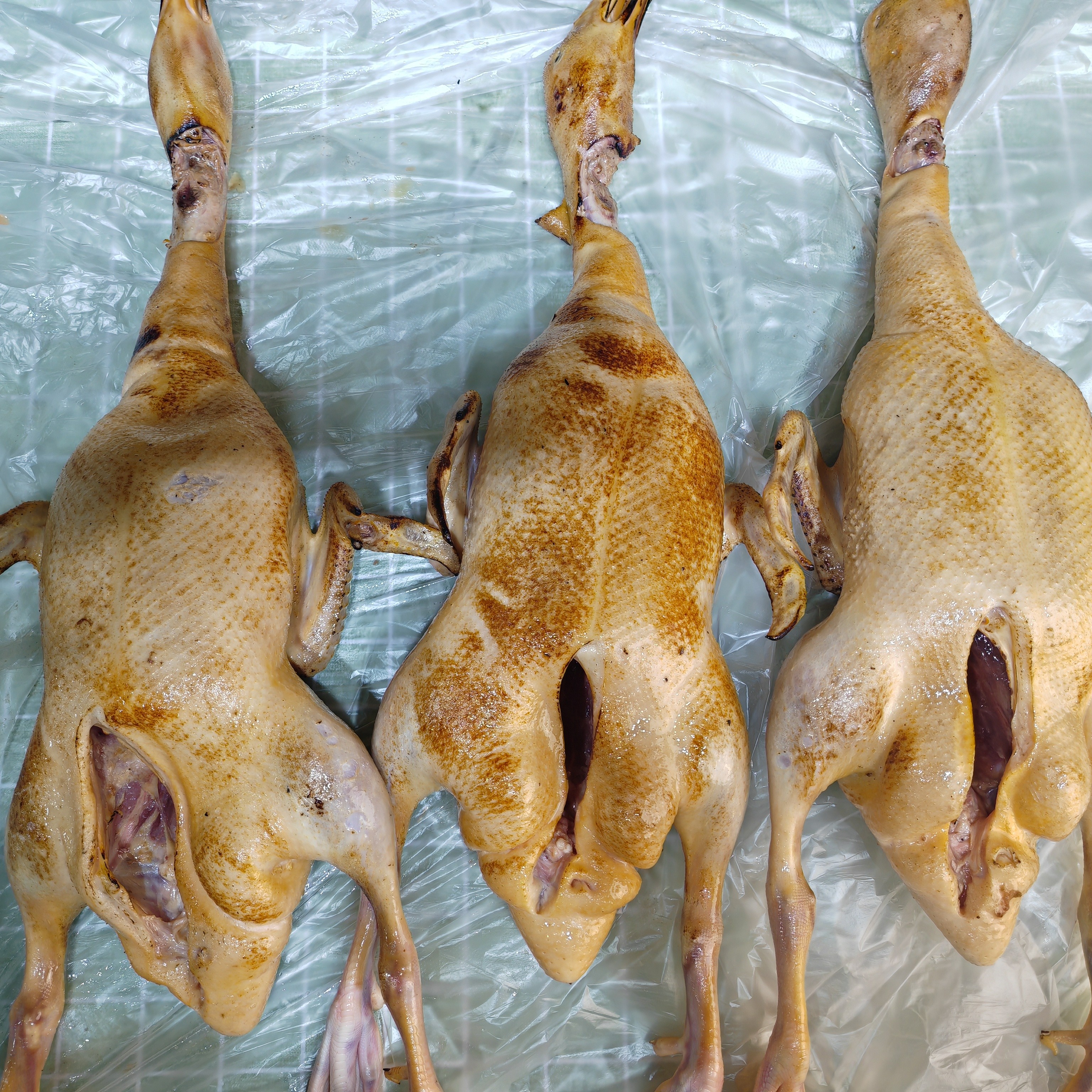 (清真)树林散养麻鸭（拍一发二）