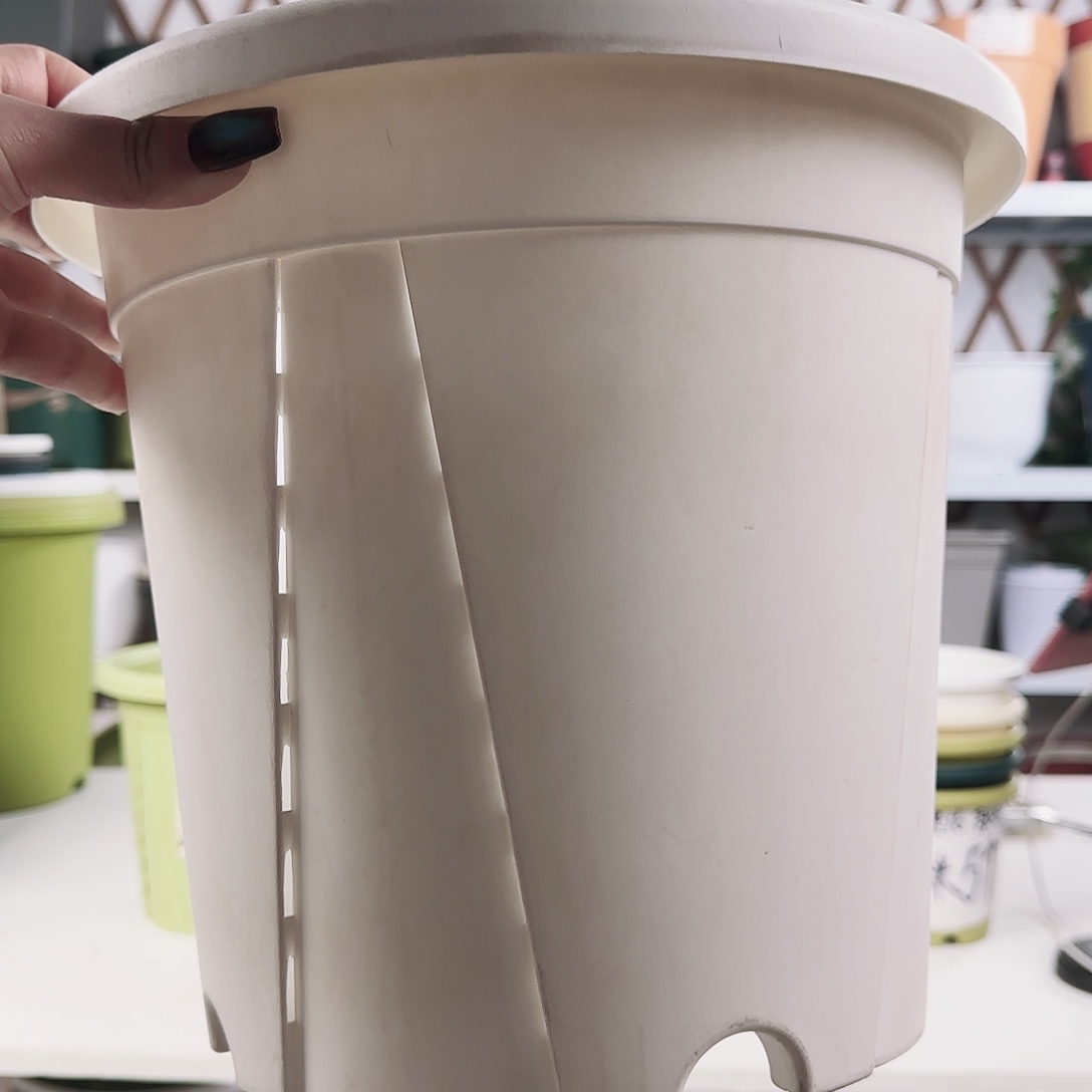 青山控根8号白色5个不带托