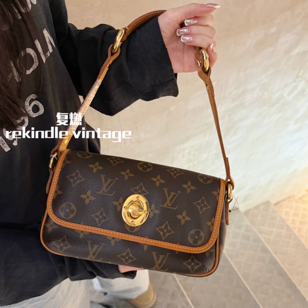 95新 LouisVuitton/路易威登 复燃精选/老花小金豆单肩包