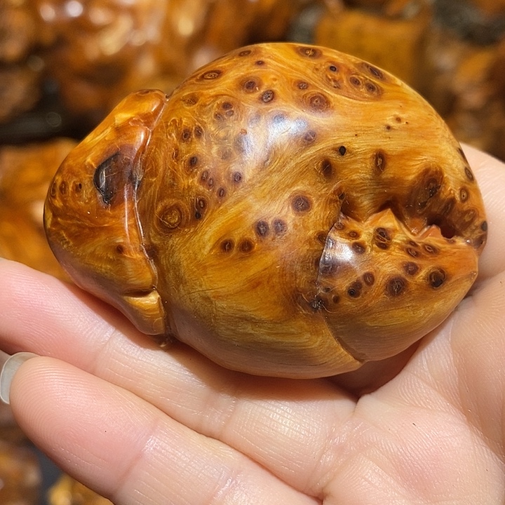 柏木太行崖柏陈化