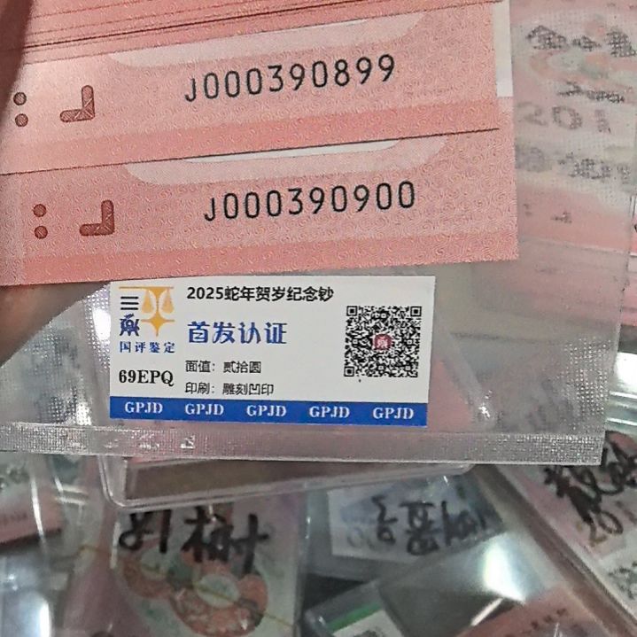 塑料蛇年生肖纪念钞标十000390900