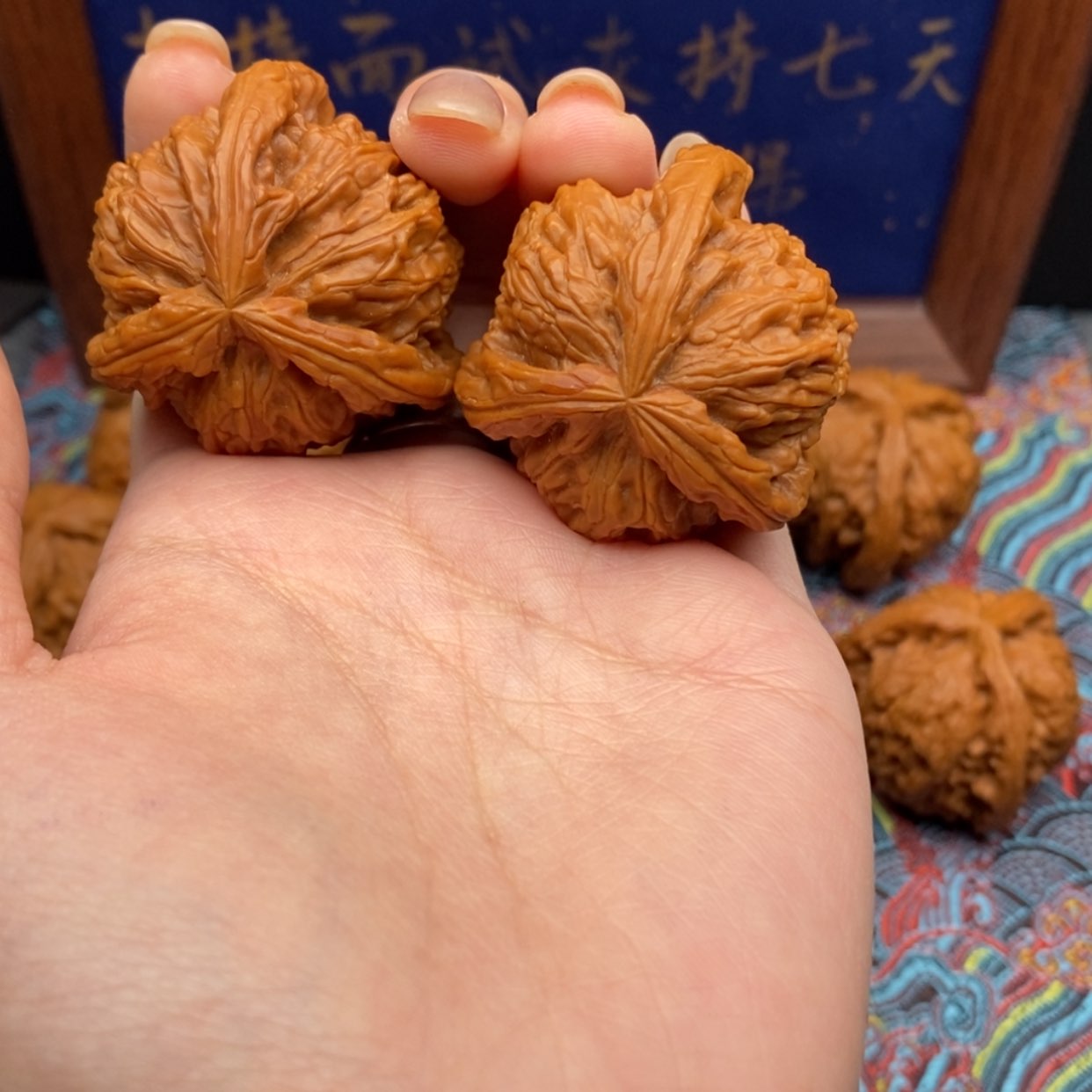 【闪购商品】军****煌白狮