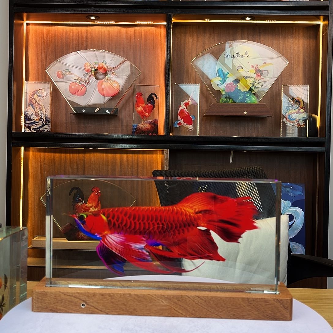 人造水晶瑕疵红龙鱼