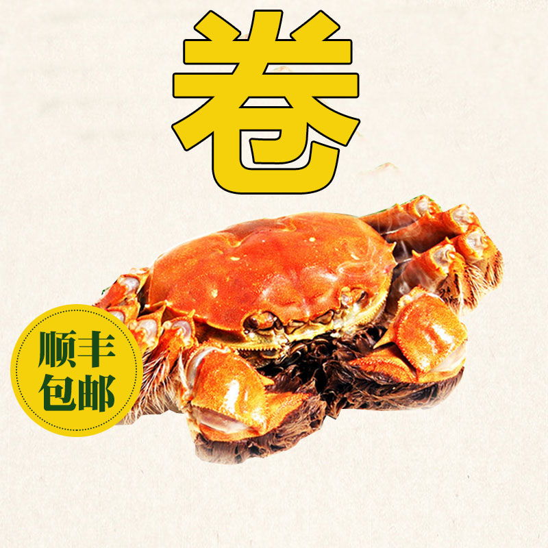 【活蟹】兴化大闸蟹母2.2-2.5两公3.2-3.5两6只装塘口直发