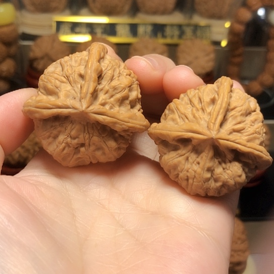 特价秒杀：野生三棱