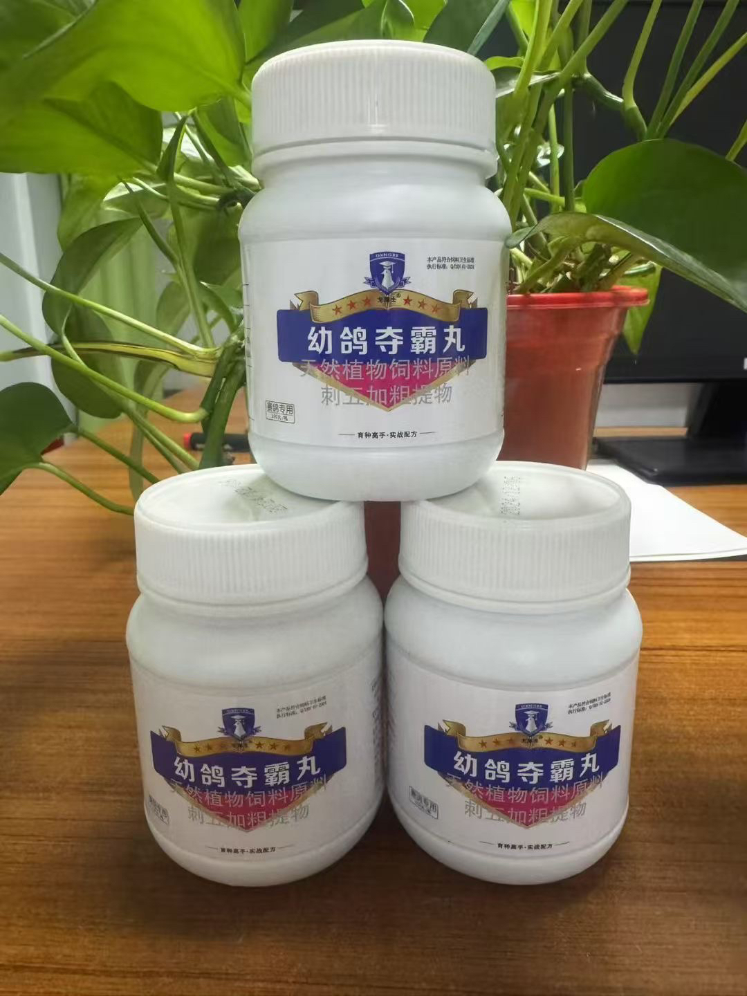 戈博士 幼鸽夺霸丸 鸽子保健 促生长强壮骨骼