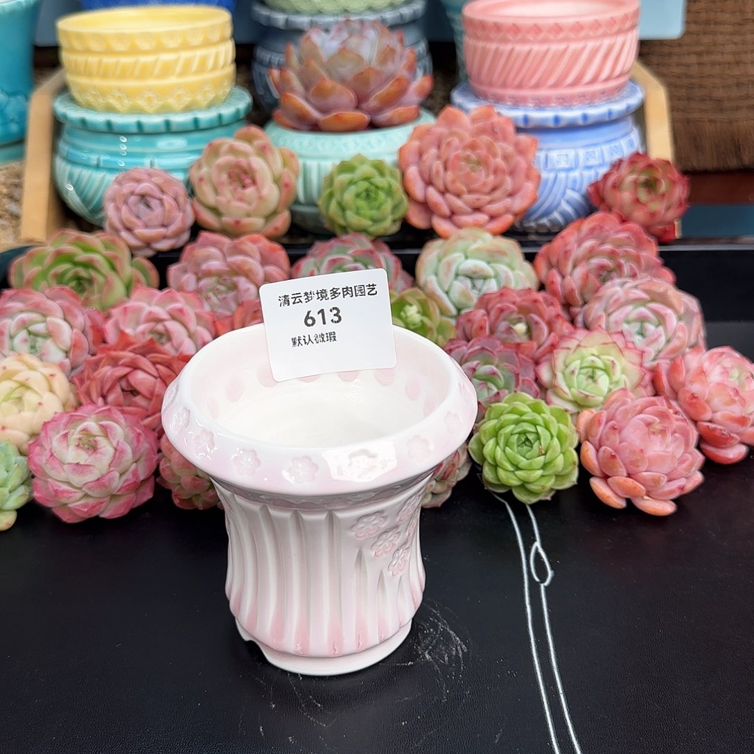 【闪购商品】613 7口花盆