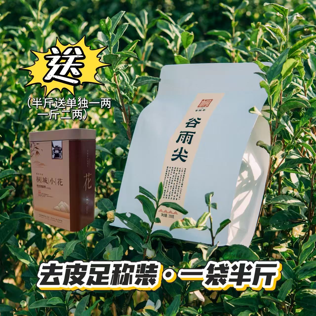 【谷雨兰花香】耐泡度好口感醇厚茶叶2025新茶桐城小花茶叶春茶绿茶