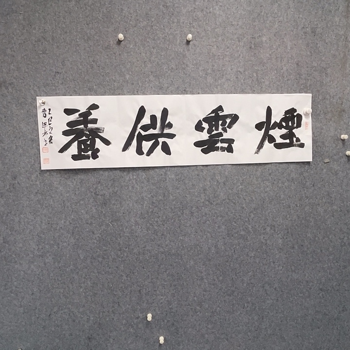 书法曹述林书法作品软片