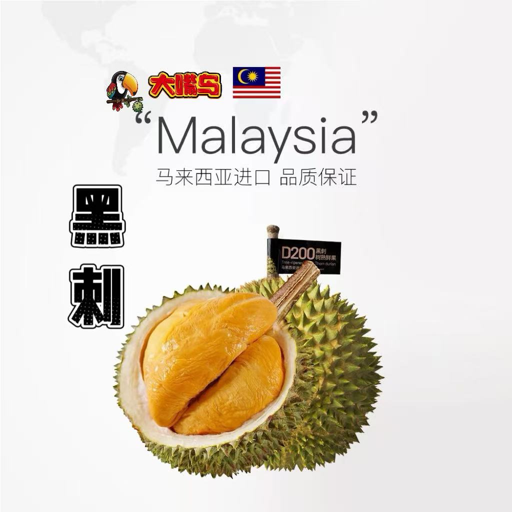 【传哥】大嘴鸟马来西亚进口猫山王黑刺榴莲液氮锁鲜2~8斤