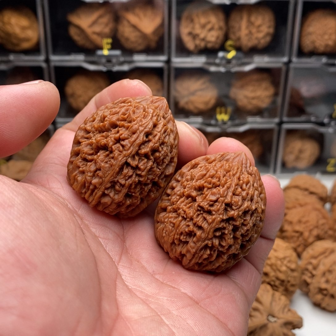 35.5大蒜头狮子头，老的