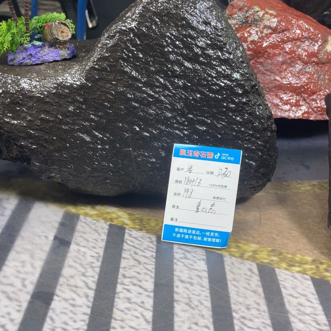 全场观众欢呼着一句