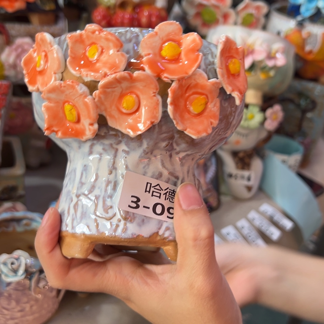 多肉花盆，满20发货爱退款拉黑瑕疵