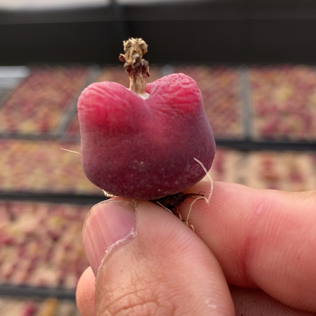 12104一个一个一个