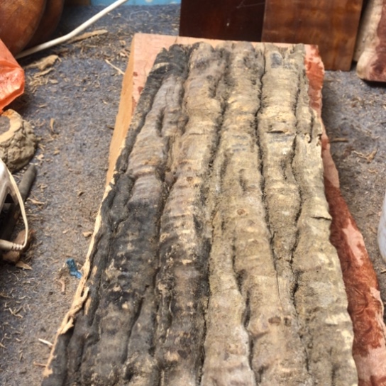 手***人大果紫檀（缅甸花梨）