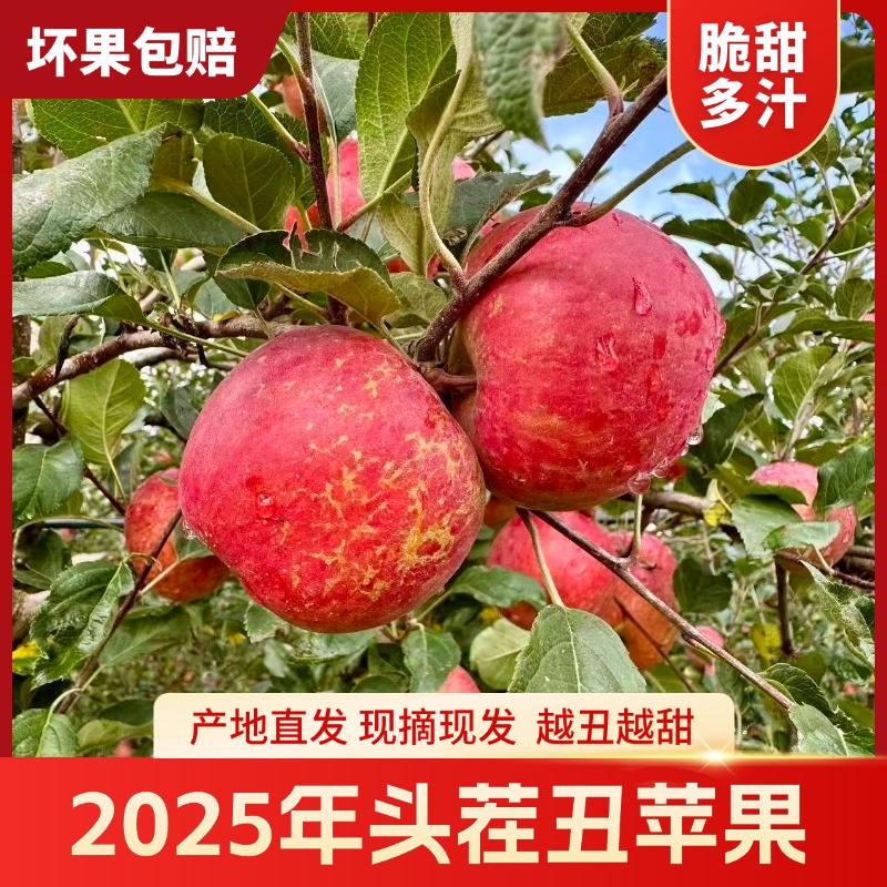 【坏果包赔】大凉山高山脆甜多汁丑苹果5斤现摘新鲜水果产地直发