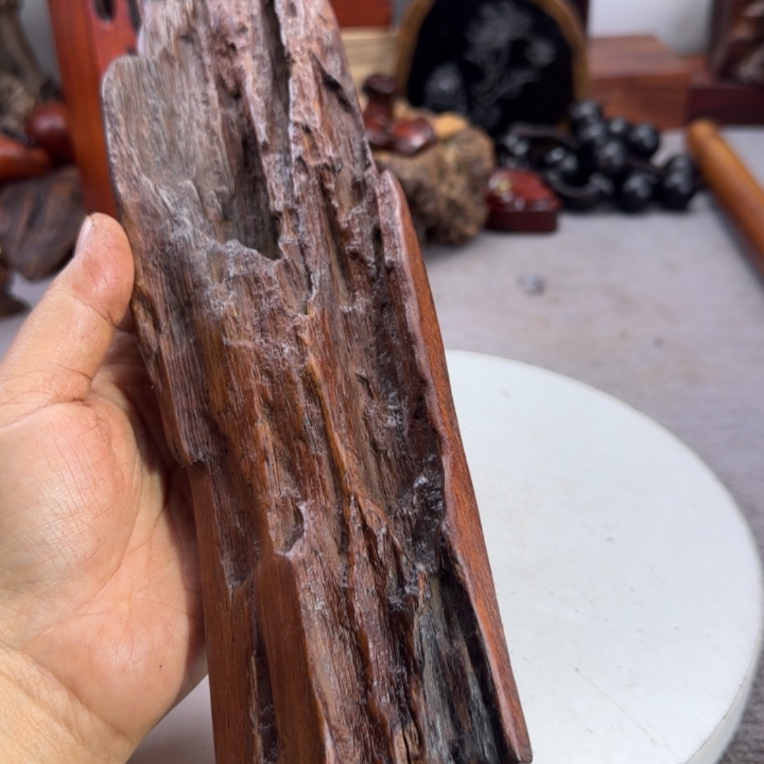 大果紫檀（缅甸花梨）乔**蓉