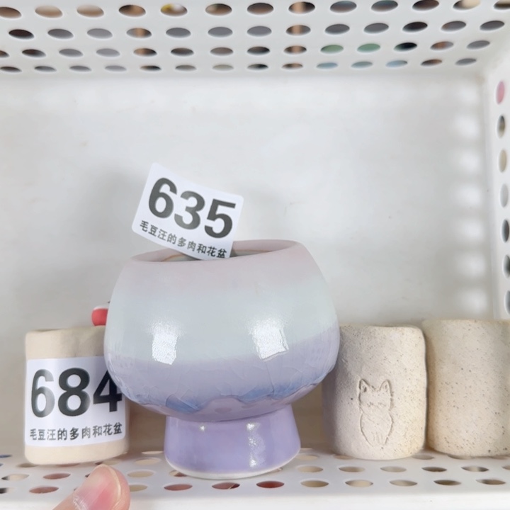 车****635      福利特惠