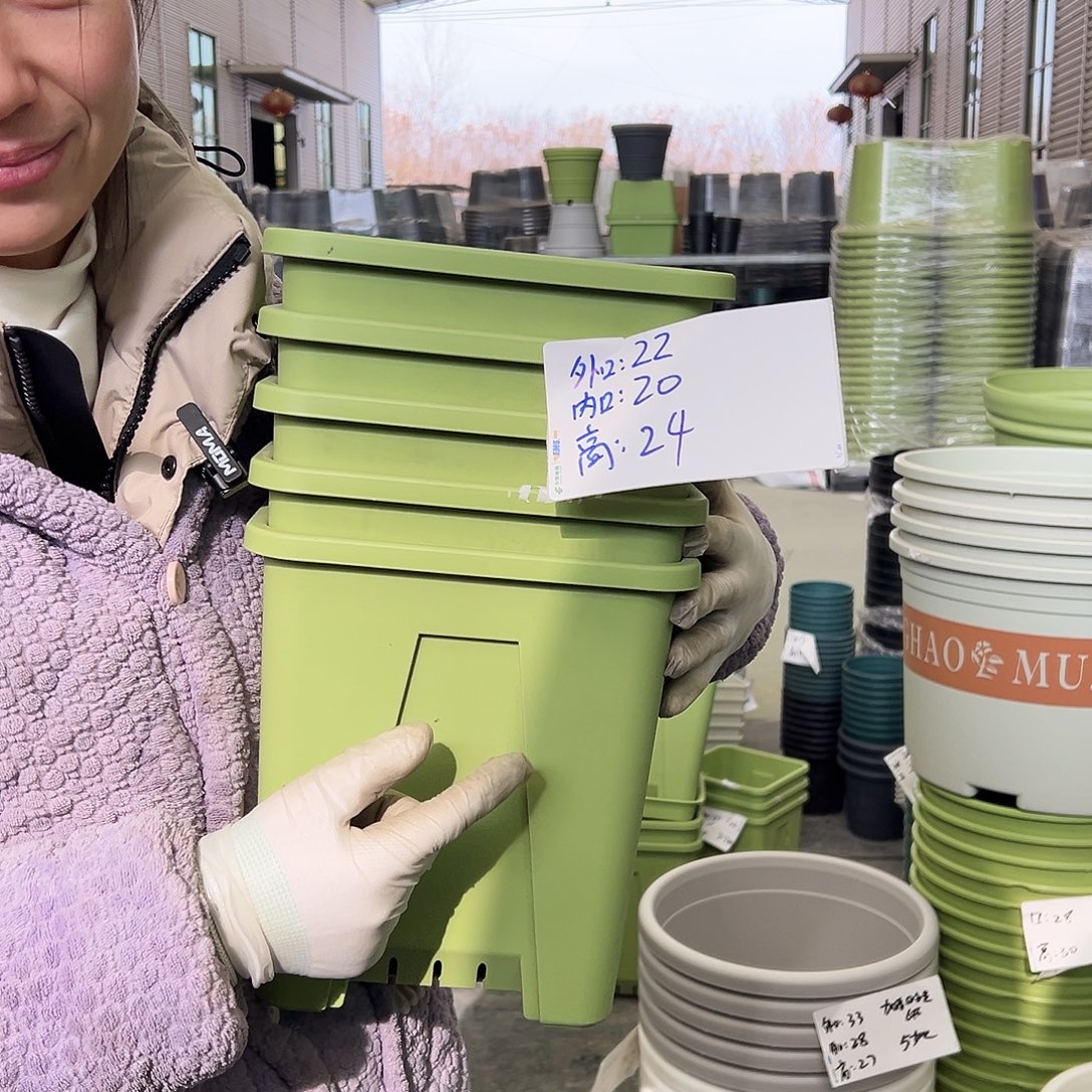 方盆F22果绿5个无托