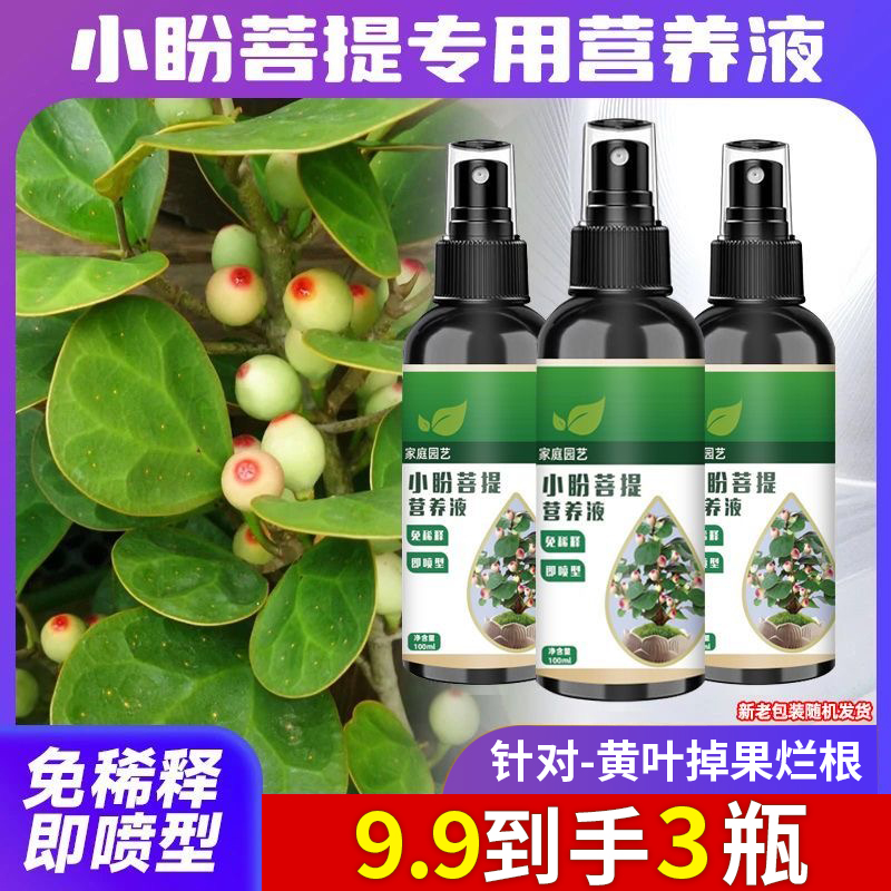 小盼菩提专用促生长结果保果专治黄叶掉果盆栽有机复合肥商品图