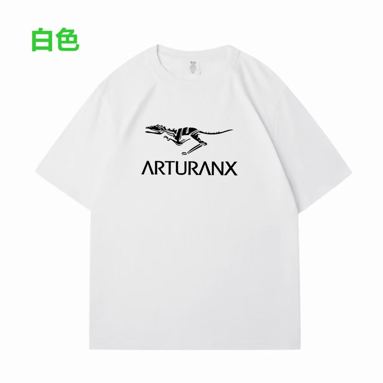 25新款时尚百搭休闲圆领套头短袖2100