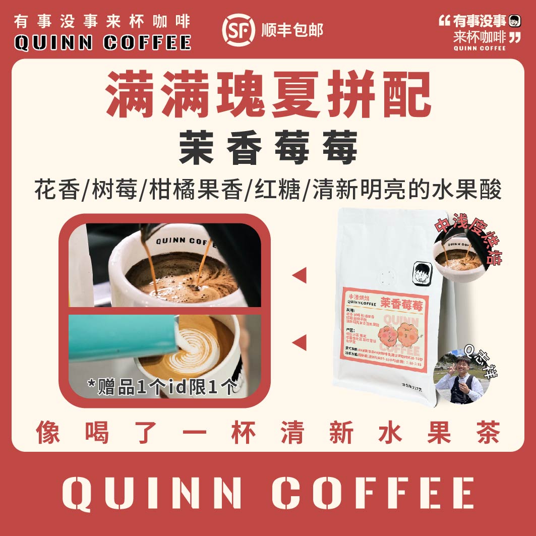 Quinncoffee茉香莓莓拼配瑰夏满满花香意式手冲冷萃咖啡豆227克