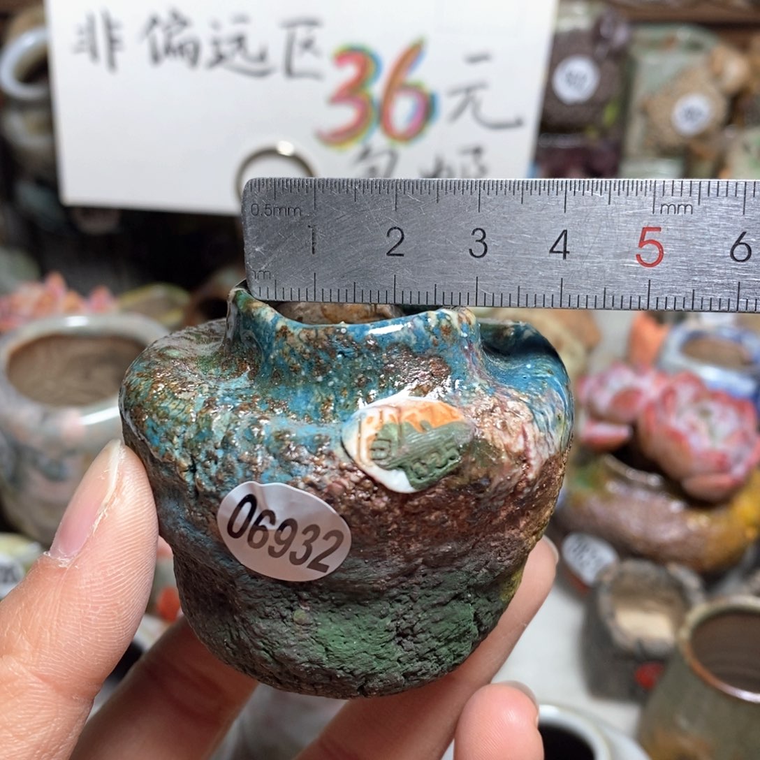 花盆拍3送一个小礼物