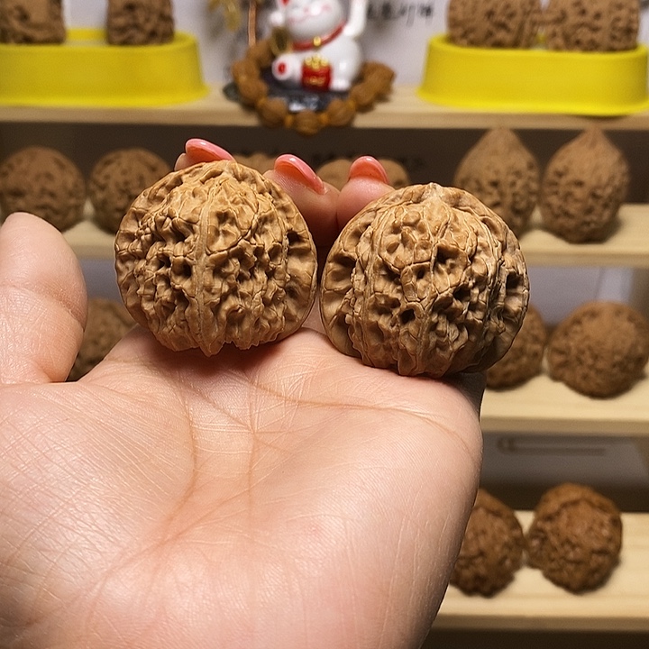 42尺寸的原桩白狮子