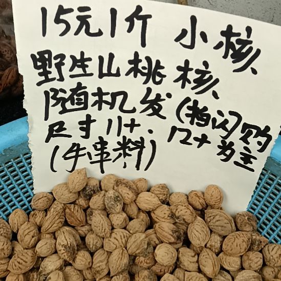 咱***伟桃核吊坠野生山桃核60元5斤随机发