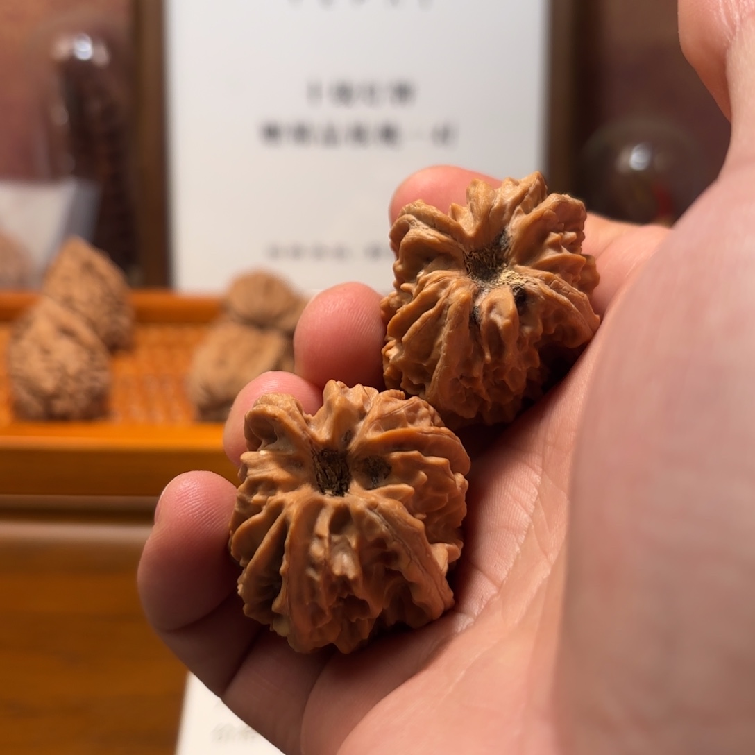 文玩核桃吊坠曹大龙Q5870