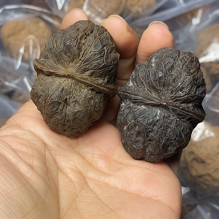 文玩核桃把件云南铁核桃5