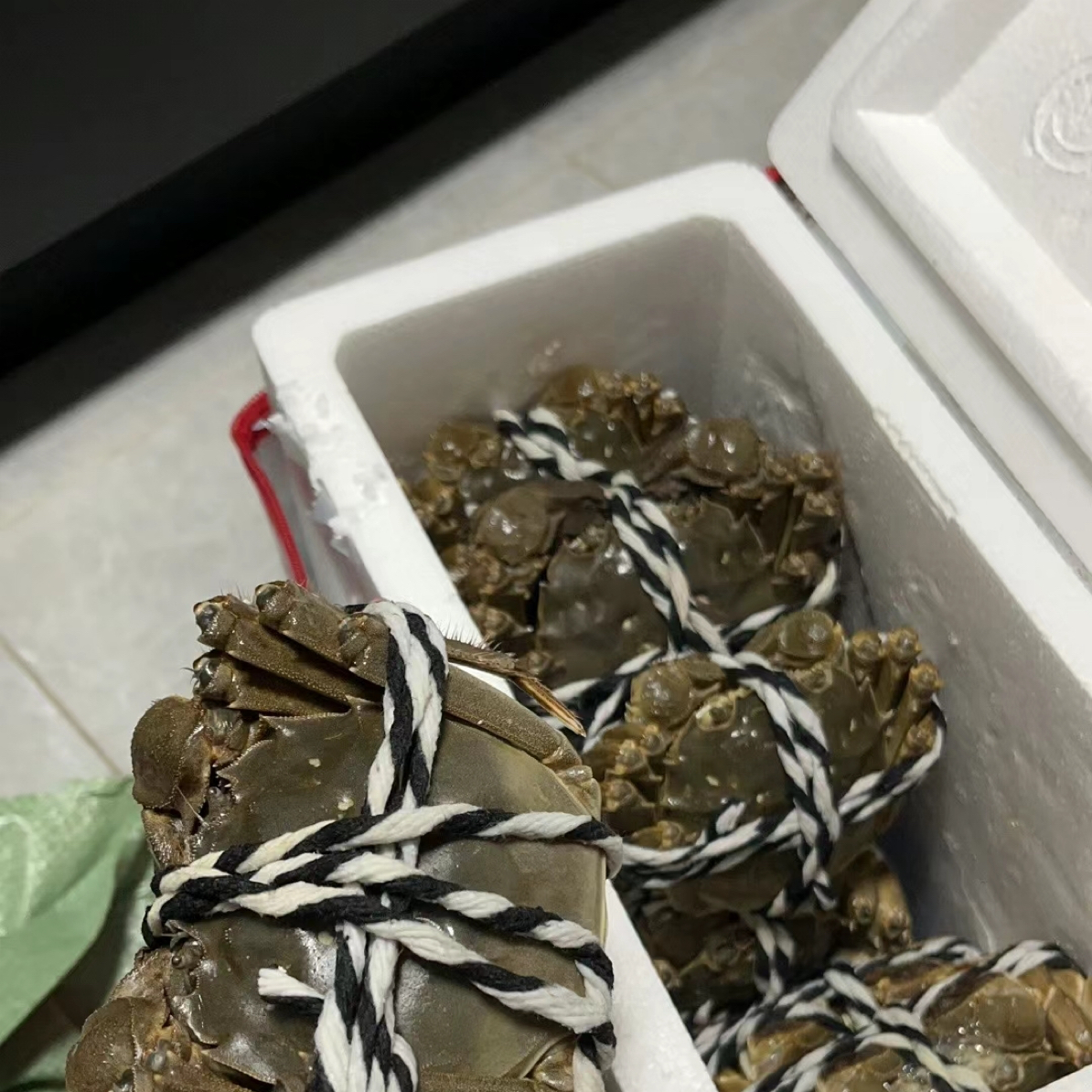 活蟹-江苏螃蟹-母蟹2.3-2.7两-6只