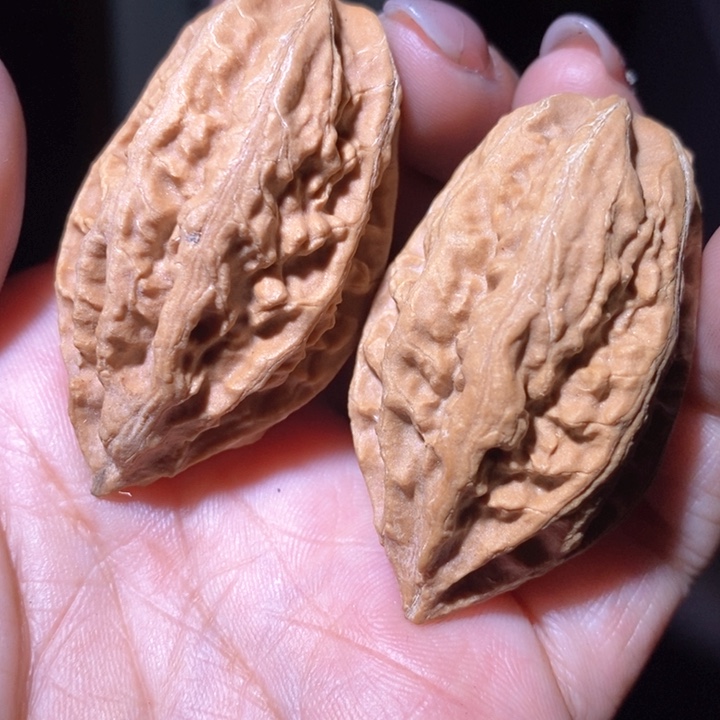 文玩核桃把件东北野生楸子小美204