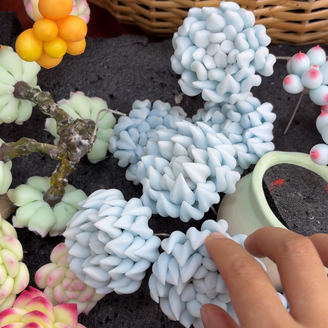 树脂2号哦哦哦哦哦哦哦