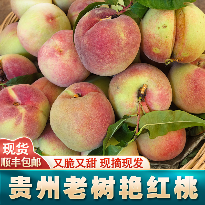 顺丰包邮贵州新鲜现摘艳红桃水蜜桃老树脆桃时令水果小时候的味道