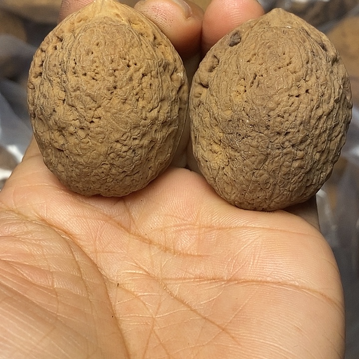 文玩核桃把件云南铁核桃54